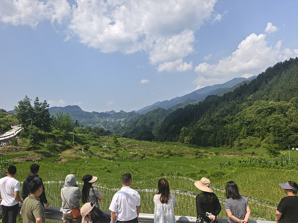 机关4.png